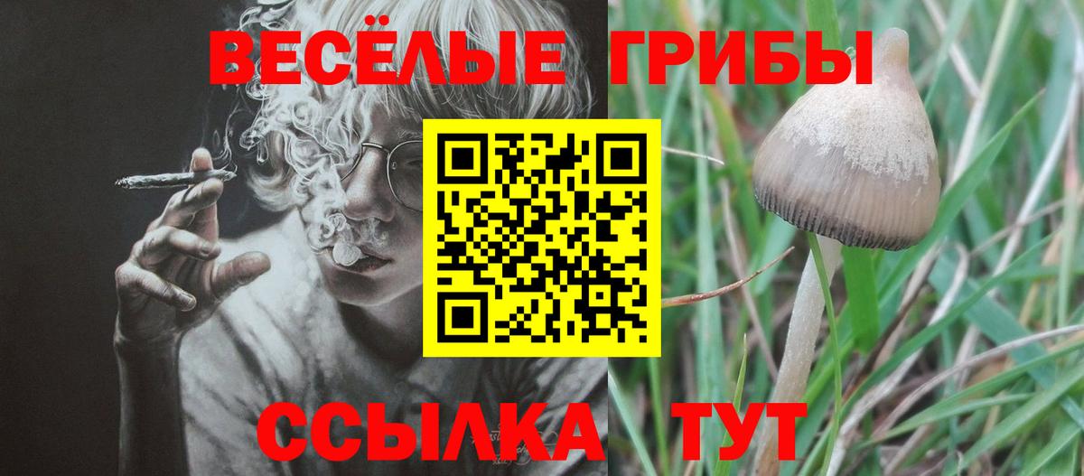 Псилоцибиновые грибы MAGIC MUSHROOMS  Вход с VPN  цена   Павлово  Псилоцибиновые грибы мухоморы 